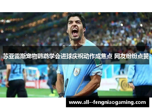 苏亚雷斯宠物鹦鹉学会进球庆祝动作成焦点 网友纷纷点赞 苏亚雷斯宠物鹦鹉学会进球庆祝动作成焦点 网友纷纷点赞