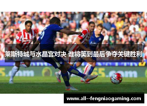 莱斯特城与水晶宫对决 谁将笑到最后争夺关键胜利 莱斯特城与水晶宫对决 谁将笑到最后争夺关键胜利