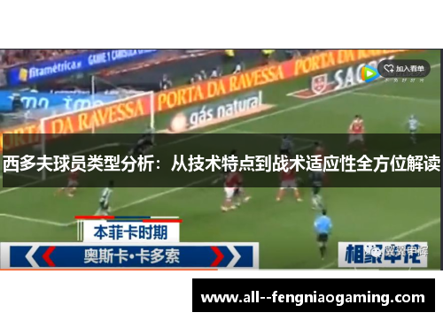 西多夫球员类型分析：从技术特点到战术适应性全方位解读