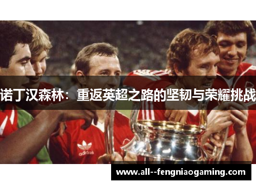 诺丁汉森林:重返英超之路的坚韧与荣耀挑战 诺丁汉森林:重返英超之路的坚韧与荣耀挑战