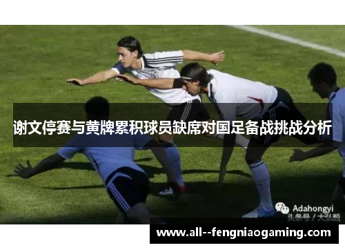 谢文停赛与黄牌累积球员缺席对国足备战挑战分析 谢文停赛与黄牌累积球员缺席对国足备战挑战分析