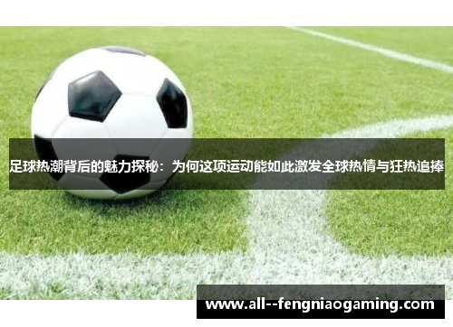 足球热潮背后的魅力探秘：为何这项运动能如此激发全球热情与狂热追捧