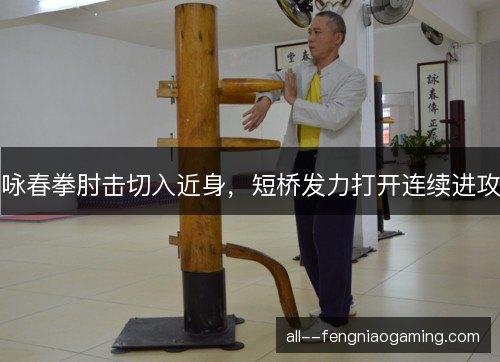 咏春拳肘击切入近身，短桥发力打开连续进攻